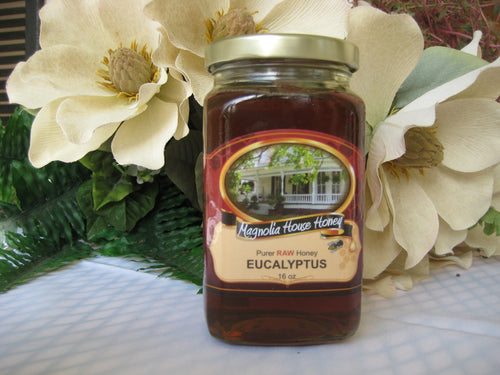 Eucalyptus honey 16oz - Magnolia House Honey