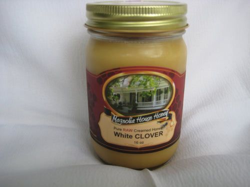 Creamed Clover Honey 16oz - Magnolia House Honey