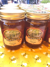 16oz Clover Honey - Magnolia House Honey